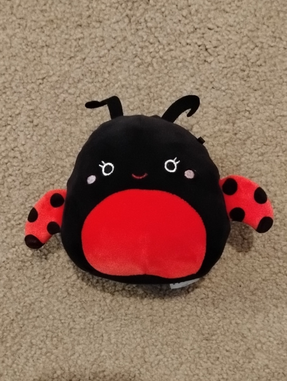Ladybug Squishmallow